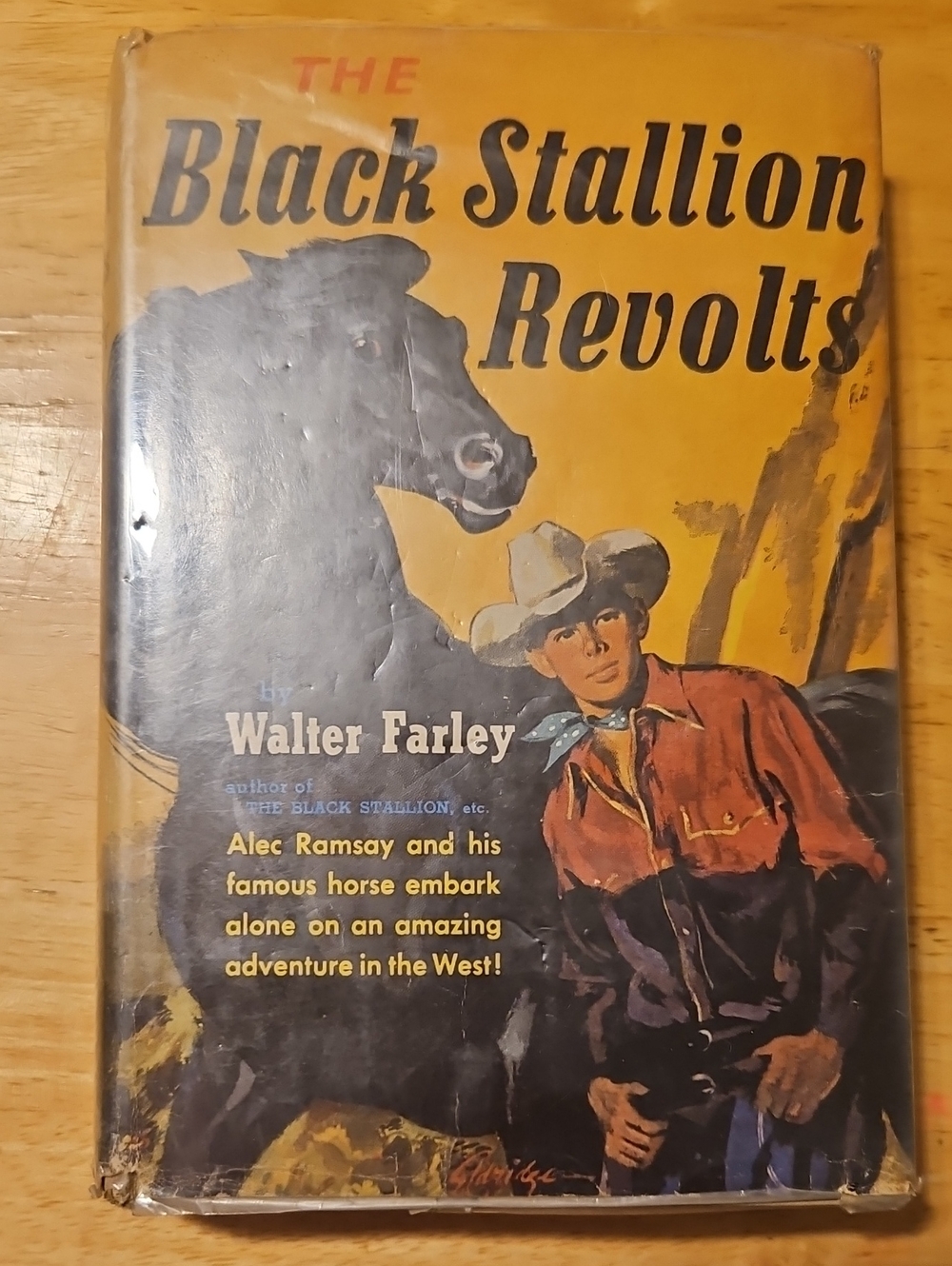 The Black Stallion Revolts by Walter Farley Vintage Hardcover Book